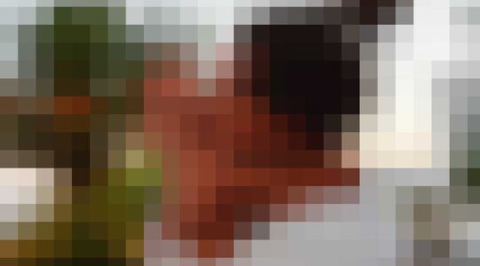 knapste Nederlandse moeders