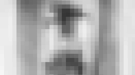 Illustratie voor: Onze favoriete tattoo’s van de Hongaarse tattoo-artiest Balazs Bercsenyi