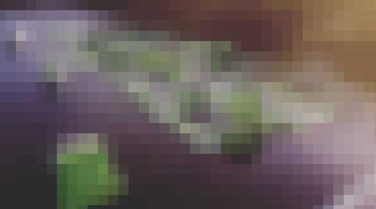 Center Parks waterparcours