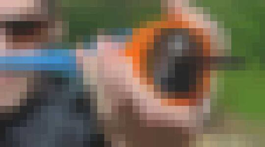 Illustratie voor: Beleef next level kattenkwaad met deze moderne erwtenschieter!