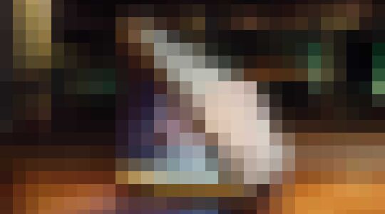 Geluidsdichte Hondenhok Ford Gewoonvoorhem