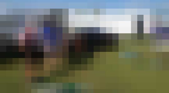 Beer Pong Golf Set Plezier