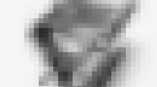 Illustratie voor: Deze draagbare koffer-barbecue is een must have voor de zomer