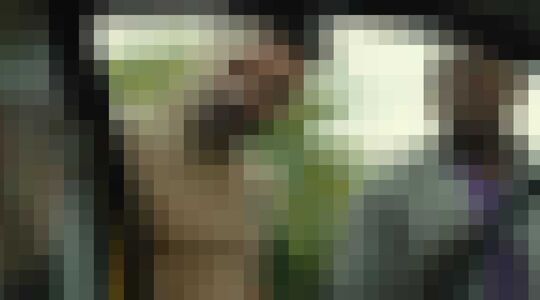 Nieuw op Netflix w28