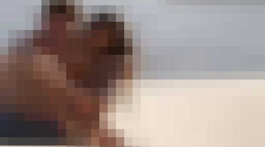 Max Verstappen Kelly Piquet