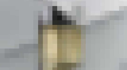 beste mannengeuren 2020