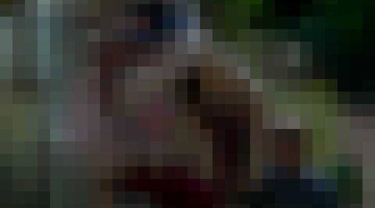 Bird Box Netflix Sandra Bullock