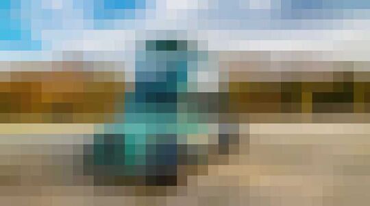 Magische Dubbeldekkerbus Gewoonvoorhem