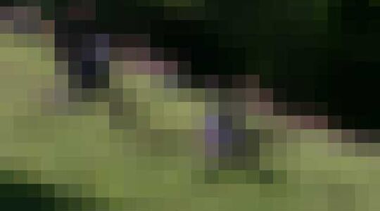 Kaas Cheese Rolling Race