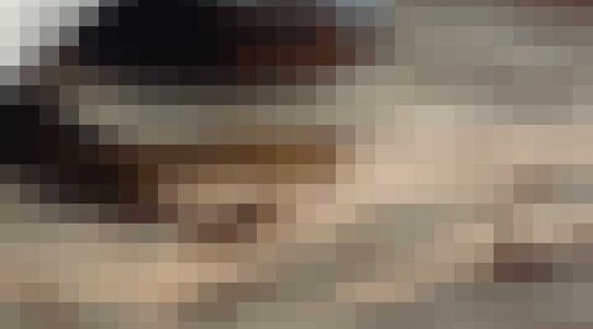 Slang naar je ex vernoemen Gewoonvoorhem