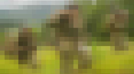 duurste series aller tijden