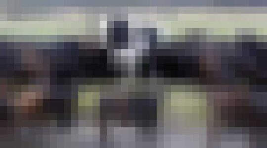 grootste koe gewoonvoorhem 1