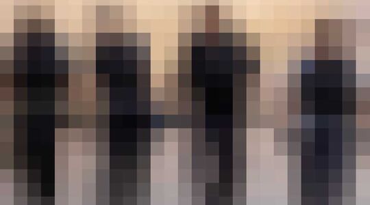 Rogue City Netflix Bronx