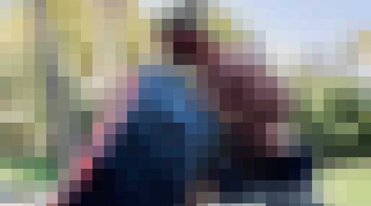 fitte hollywoodsterren