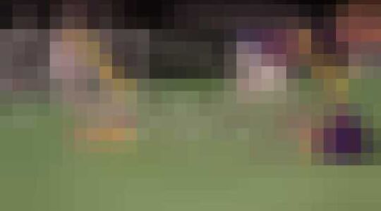 Bulldog Rudy Wedstrijd Gewoonvoorhem