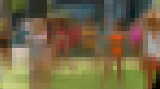 Temptation VIPS verleiders en verleidsters