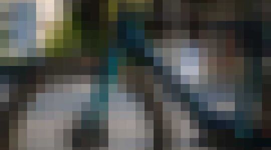 Carbon E-bike Specialized