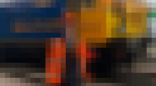 treinspotter Francis Bourgeois