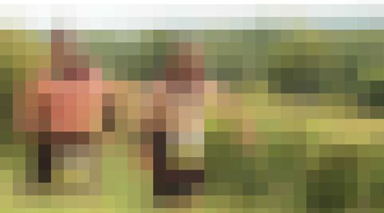 Wijnmarathon Run Bacchus