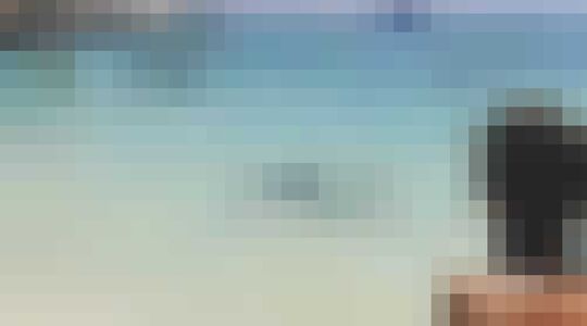 Illustratie voor: 2,5 meter lange haai bezorgt toeristen op Mallorca de schrik van hun leven