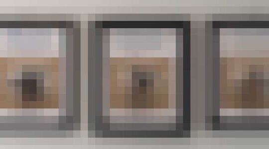 Werknemer van het Kwartaal Hond Gewoonvoorhem