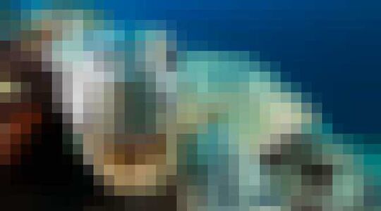 Blue Planet II Airbnb