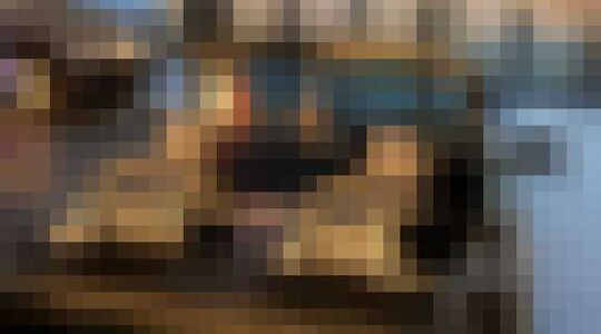 auto martien meiland te koop