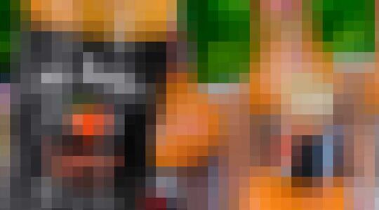 jack daniel's southern peack