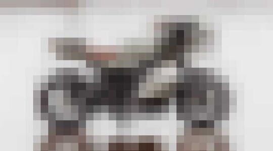 Illustratie voor: Deus Ex Machina onthult nieuwste creatie: The Goose