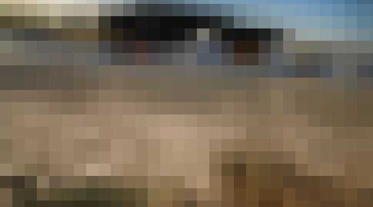 Formule 1 in Zandvoort