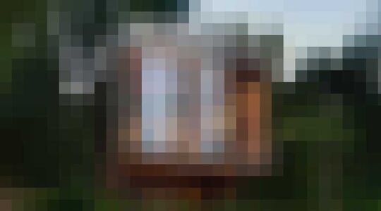 tree house constantia