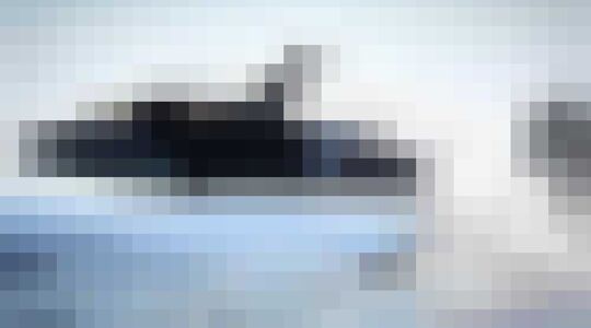 Orca Predator Adventures