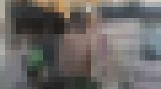 The Red Sea Diving Resort