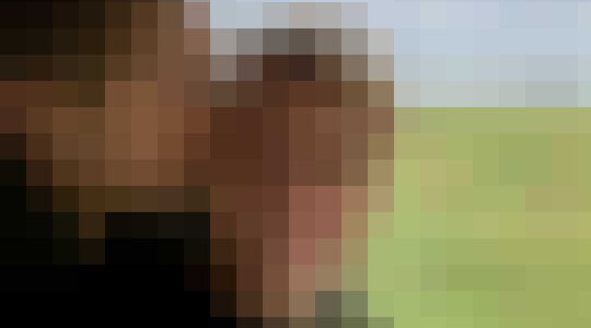 auto van Frenkie de Jong