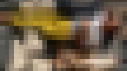 penthouse van lewis hamilton