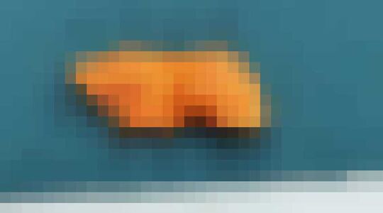 cavia-chips marktplaats