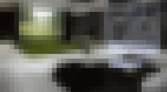 Nieuwste aanwinst van Donald Trump Gewoonvoorhem