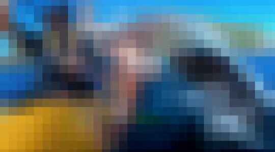 Zeerob Nieuw Zeeland Taiyo 'T' Masuda