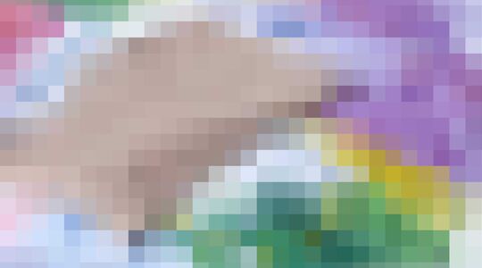 gemiddelde vermogen per huishouden