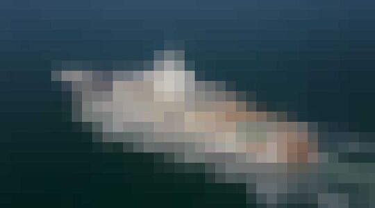 Superjacht van Mark Zuckerberg