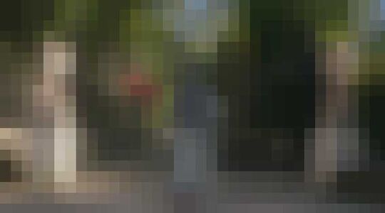 The Fresh Prince of Bel-Air Gewoonvoorhem