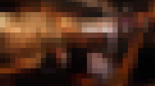 Bruine kroegen Nederland