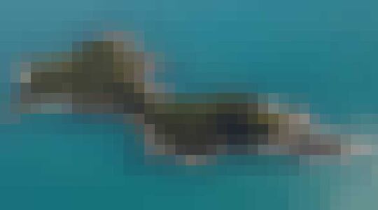 prive-eiland-gewoonvoorhem