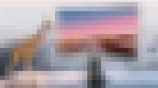 Buitentelevisie 301 inch van C Seed