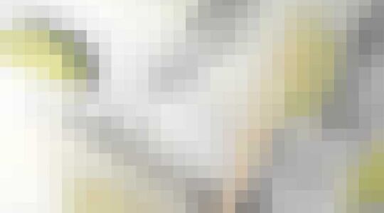 Illustratie voor: Gin & Tonic en Prosecco ijs is vanaf morgen half 9 verkrijgbaar bij Aldi!