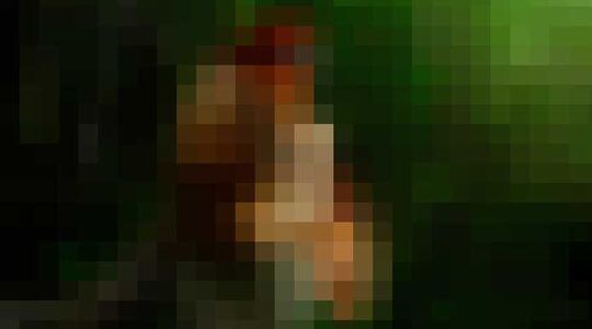 Natuurfotografie gewoonvoorhem