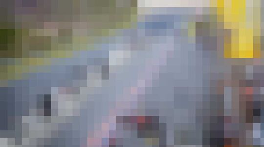 datum grand prix van Zandvoort