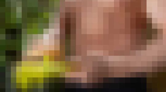 Sixpack Afvallen Buikspieren Tips