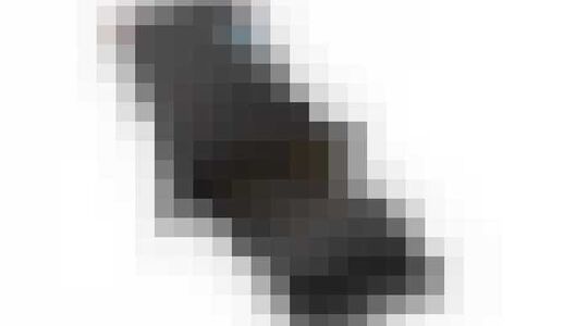 Bitset gewoonvoorhem 1