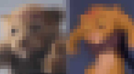 The Lion King Gewoonvoorhem